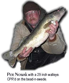 Pete Nowak with a 29 inch walleye caught photographed and released on the bead-n-swede.